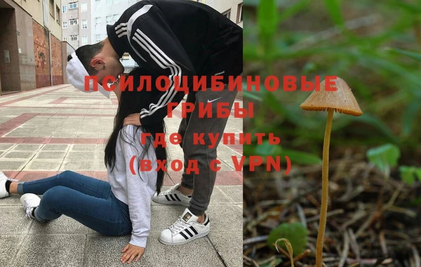 ALPHA-PVP Алексеевка