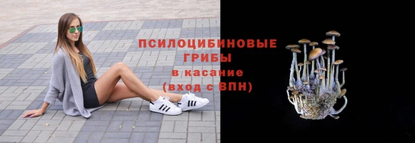 твердый Алексин
