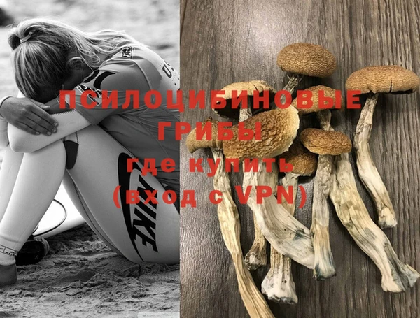 твердый Алексин