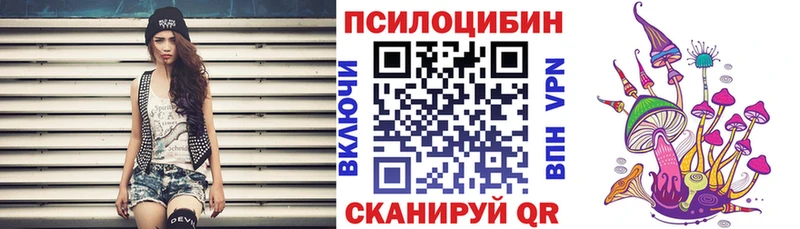 Псилоцибиновые грибы прущие грибы  площадка как зайти  Жиздра 